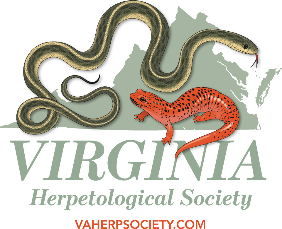 Virginia Herpetological Society